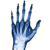 x_ray_hand