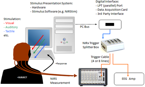 Concurrent+NIRS+++EEG+recording+-+example+method