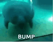 Bump 1