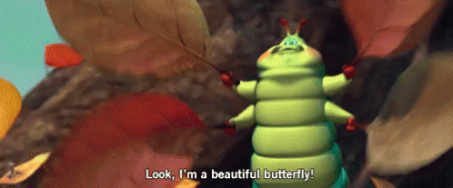 butterfly-abugslife